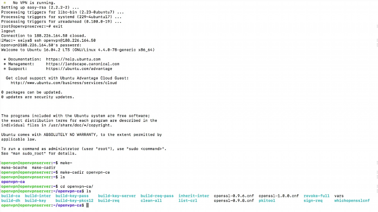 Купить openvpn config