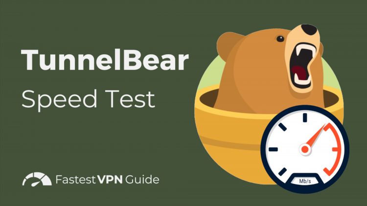 Впн bear
