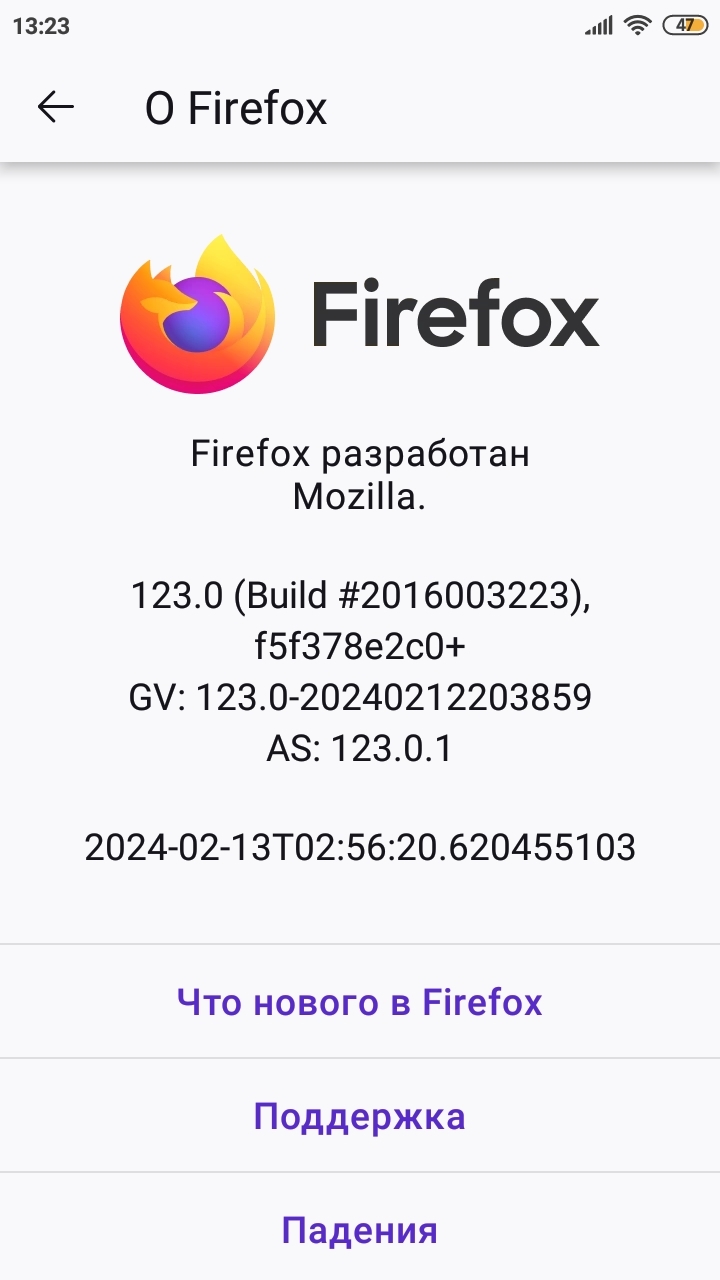 Vpn для мозила браузера установить